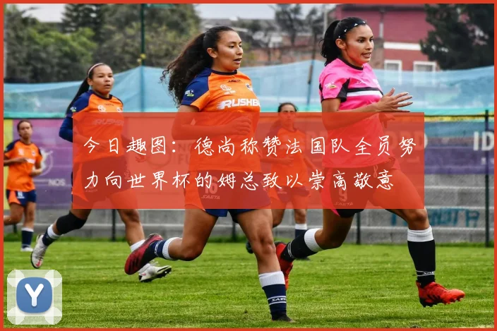 今日趣图：德尚称赞法国队全员努力向世界杯的姆总致以崇高敬意
